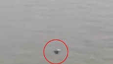 Hà Nội: Phát hiện thi thể nam giới nổi gần chân cầu Chương Dương