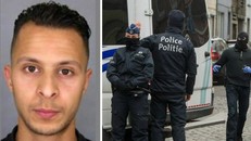 Cảnh sát Bỉ bắt sống kẻ tấn công khủng bố Paris [VIDEO]