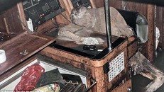 Phát hiện 'xác ướp' nhà thám hiểm bí ẩn ngoài khơi Philippines