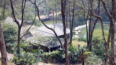 Resort xây trái phép ở vườn quốc gia có phải là đại tham nhũng?