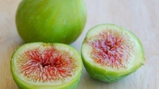 Bài thuốc nam chữa sỏi mật cực kì hiệu quả từ quả sung