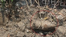 Mỹ Tho: Phát hiện đạn, pháo khi thi công móng nhà 