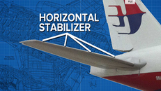 Phát hiện mảnh vỡ lạ ở Mozambique nghi của MH370 