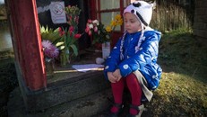 Trao thưởng 8 tỷ đồng tìm hung thủ giết một con ngỗng