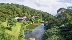 Có thể đình chỉ hàng loạt cán bộ Vườn quốc gia Ba Vì 