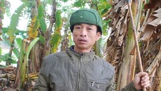 Từ ăn mày thành tỉ phú ở Hải Phòng: 'Tiền tràn về như thác đổ'