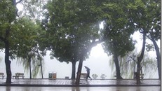 Dự báo thời tiết 31/3: Hà Nội mưa phùn, nồm ẩm