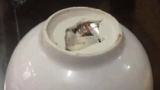 Nghi vấn quanh con chip lạ gắn dưới đáy bát vỡ tại Hà Nội