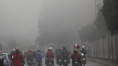 Dự báo thời tiết 5/3: Trời mưa rải rác, sương mù đêm về sáng