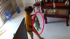 Bắt đầu điều tra vụ bảo mẫu bạo hành bé 8 tháng tuổi