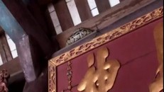 Hãi hùng nhìn con trăn 'mắc võng' trên ngôi đền ở Nam Định