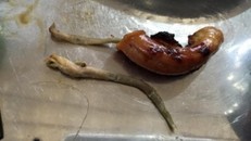 Hà Nội: Giật mình lòng nướng 'nhồi' sán dài chục cm