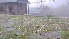 Thời tiết cực đoan ảnh hưởng nghiêm trọng đến cuộc sống người dân