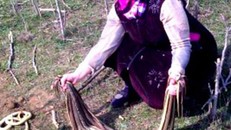 Cụ bà 60 tuổi đập chết liên tiếp 80 con rắn gây tranh cãi ở Nga