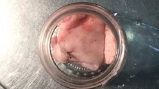 Phát hiện kim tiêm trong thịt lợn khi chế biến đồ ăn cho học sinh