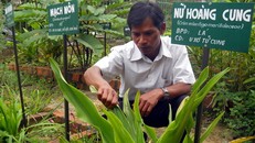 Người Việt Nam vẫn đang ‘chết trên đống thuốc’