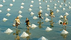 Nước mắt mặn như muối, đời nhạt như diêm dân