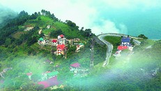 Kinh nghiệm hữu ích cho chuyến du lịch ngắn Tam Đảo