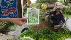 Sự thật khủng khiếp ở vựa rau an toàn cung ứng chợ đầu mối Thủ đô