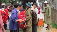 Trú mưa dưới gốc cây, người đàn ông bị sét đánh chết