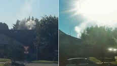 Cảnh sát vô ý tiêu hủy cần sa gần siêu thị khiến cư dân ngây ngất