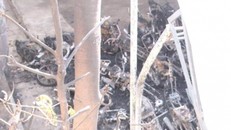 Hỏa hoạn tại đồn công an, hàng chục xe máy bị thiêu trơ khung