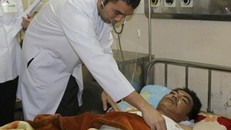 Hà Tĩnh: Do 'làm việc quá sức' trâu, bò nổi điên húc chết người 