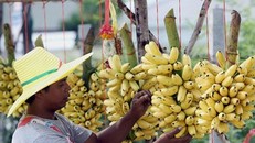 Người Thái phản đối công ty TQ gây hạn hán nghiêm trọng