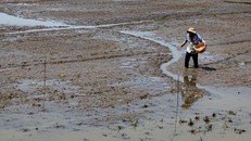 Nước về ĐBSCL không phải do Trung Quốc xả đập