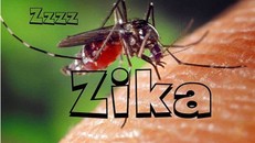 Phải làm gì khi phát hiện dương tính với Virus Zika?