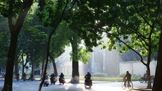 Dự báo thời tiết ngày 8/4: Bắc Bộ có sương mù và mưa nhỏ rải rác