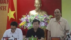 Thủ tướng: 'Không ai bao che' vụ cá chết hàng loạt