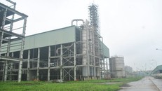 Nhà máy 2.400 tỷ ở Phú Thọ ‘chết yểu’