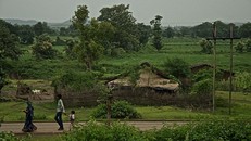 Rùng rợn ngôi làng mỗi ngày đều có người tự tử ở Ấn Độ