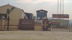 Sẽ khởi tố hình sự vụ cá chết hàng loạt ở Thanh Hóa