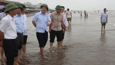 Bác tin thủy hải sản chết trắng trên biển Cồn Vành