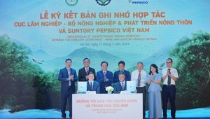 Cục trưởng Cục Lâm nghiệp Trần Quang Bảo và ông Jahanzeb Khan, Tổng Giám đốc Điều hành Suntory PepsiCo Việt Nam ký kết hợp tác trong phát triển rừng bền vững, hướng đến bảo tồn nguồn nước và trung hòa các – bon.