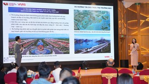 Căn hộ chung cư tiếp tục dẫn dắt thanh khoản thị trường