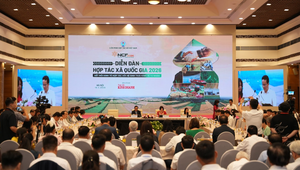 Quang cảnh diễn đàn