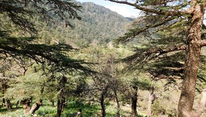 UNESCO công nhận vườn quốc gia Algeria là Khu dự trữ sinh quyển thế giới