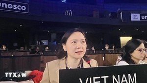 Đại sứ Nguyễn Thị Vân Anh, Trưởng Phái đoàn Đại diện thường trực Việt Nam bên cạnh UNESCO phát biểu tại Kỳ họp lần thứ 19 của Ủy ban liên chính phủ Công ước của UNESCO về Bảo vệ và phát huy sự đa dạng của các biểu đạt văn hóa. (Ảnh: TTXVN)