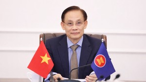 Ủy viên Bộ Chính trị, Bộ trưởng Ngoại giao Lê Hoài Trung tham dự hội nghị.