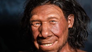 Người Neanderthal đã biết dùng khoan đá chữa sâu răng từ 59.000 năm trước