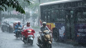 Khu vực Bắc Bộ có mưa rào và dông rải rác, có nơi mưa to đến rất to.