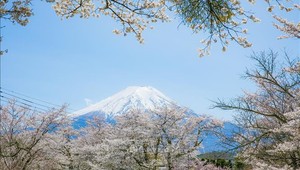 Góc nhìn núi Phú Sĩ hùng vĩ tuyệt đẹp từ Oshino Hakkai là một điểm nhấn của ngôi làng cổ. 