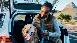 Tác động của thú cưng đến diện mạo ngành du lịch