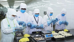 Đảm bảo an toàn thực phẩm vì thế được xem là một trong những điều kiện tiên quyết để bảo vệ sức khỏe cộng đồng và thúc đẩy phát triển bền vững. Ảnh: Báo Công thương