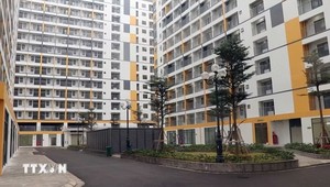 Dự án Nhà ở xã hội thuộc Dự án Khu đô thị-Dịch vụ thương mại và nhà ở công nhân Tràng Duệ. (Ảnh: Hoàng Ngọc/TTXVN)