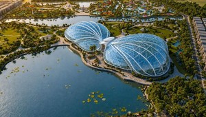 Cách Vinhomes đưa cả thế giới thực vật ôn đới về Sài Gòn Park để cư dân chiêm ngưỡng “kỳ hoa dị thảo” quanh năm