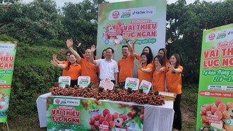 Lệ chi thuật truyện